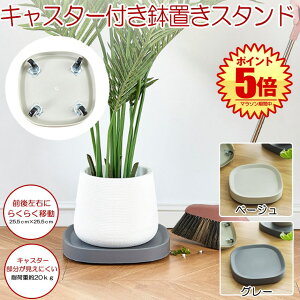 y LX^[ɂ z Aؔ Aؔ X^h t[  u LX^[ v^[pM LX^[t v[g a25.5cm  ϗtA t[bN v