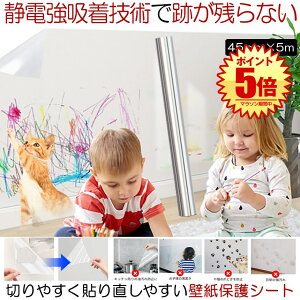 yǎz ǎ V[ NX  ǎیV[g   ͂ q n  gC hA q  ی V[g ÓdC  NA  EH[ Xeb