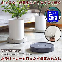 楽天市場】植木鉢 大型（鉢皿｜植木鉢・プランター）：ガーデニング 