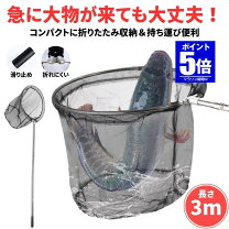 楽天市場】鯉 タモの通販