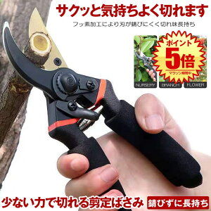 y y͂ŃXpbƐ؂ z ΂ nT~ }؂oT~ ͂ Kтɂ tbfR[eBO ₷ oT~  Ă΂ }΂ ؂̙   