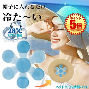 ACX Xq wbh ppbh l qǂ wbhN[ Xqpۗ uԗp N[ ڂ  wbg ЂXq p JԂgp LbY NASA PCM 28xȉ   O AEg