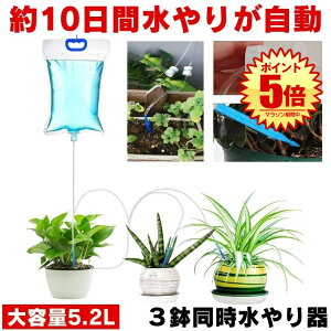 y3䓯z   A @ 蓖    U@ ϗtA 琅 s o   A 1T  v