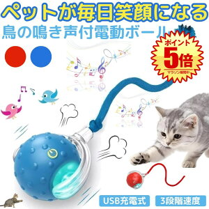 yœz lR L  d   {[  lV  t   USB[d ybg _CGbg ^s  LEDCgt Kt  Ђ Type-