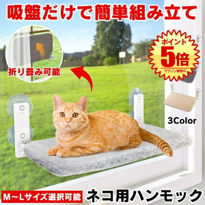 L nbN xbh ˂ Lpi pnbN LbgEH[N  sv LnbN  Lxbh Lpxbh ybg z Lbg^[ zՎ  ܂  Jo[ EH