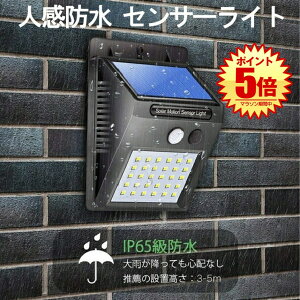 ҂̃rWCg  30 LED l ZT[Cg O \[[ z 3[h _ h hƃCg h zsv SYOUVISION