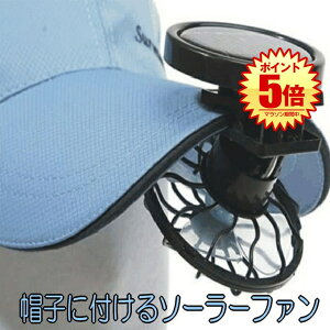 y Lbv ɒ z @ \[[ Nbv Xq t@ M ΍ h~ ^ gѐ@ dC0~ z \[[ drsv AEghA W[ ^ Lv  Oo 