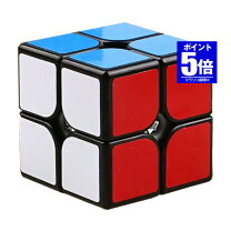 楽天市場】ルービック キューブ 20 20 20の通販
