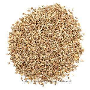 AjXV[heB[ Ɩp500g AjX n[ueB[ AjXV[h z[ hCn[u m䠍 ZCEECLE aniseed J[ XpCX   ^  h 