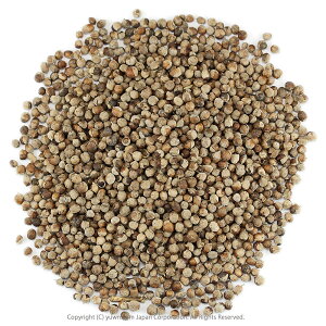 `FXgx[ n[ueB[ Ɩp 10Kg `FXgc[