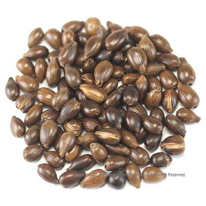 ͂Ƃނ Y 100% z[ ՂTCY 200g ngM Y͂Ɣ Y Y  t 䂤[