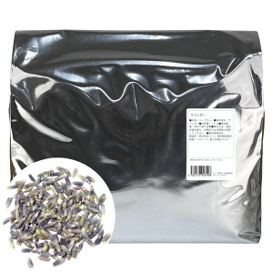 x_[ Ɩp n[ueB[ 1Kg n[ueB[ hCn[u  x_[ x_[eB[ t  |v A} N 