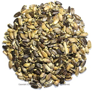 ~NVX V[hiqj}AAU~ 100g Milk Thistle Seed IIAU~ n[ueB[ 䂤[