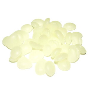 Xi݂낤 r[bNXj Ɩp1Kg ~cEN[ N ݂낤bNX ݂낤bv ݂낤Lh 낤 r[Y g  nhCh