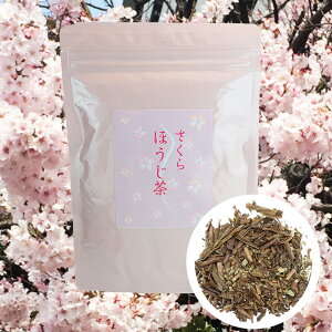 ق t 100g ق      eB[ eB[     TN  sakura tea japanese tea { t̂ ̗t Ԍ