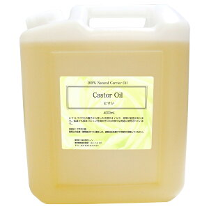 q}VIC 4000ml Ђ܂ JX^[IC LX^[IC q}V 햃q Ӗ ƖpLAIC x[XIC AIC }bT[WIC GXe