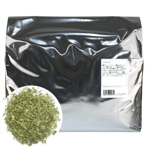 XerA n[ueB[ Ɩp1Kg Ân[u t XerA  n[ueB[ XerITCh ̑p _CGbg Â Ât XerA XerAeB[ Ăт 