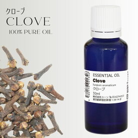 楽天市場 丁子 油の通販