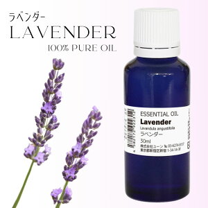 x_[IC tXY 30ml t` ^x_[ gD[ A}IC GbZVIC 