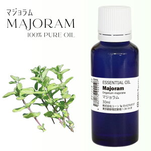 }[WIC 30ml XEB[g}[W XC[g}WIC }[W XC[g A}IC GbZVIC 