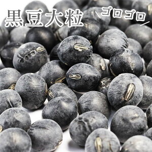  Og 200g iߘa6NYj Og 嗱9mm RY  ̏ Og   Y Og哤 Og  2024NxY   ϓ Ԃǂ Og̍ ܂ 