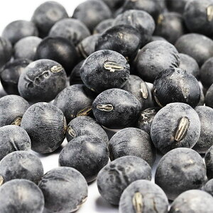 黒豆丹波 種(大粒10mm上)業務用5Kg 岡山県産 備中 黒の笑 丹波 黒豆 大粒 2L 乾燥豆 国産黒豆 丹波黒大豆 丹波黒豆 生豆 黒豆煮 正月おせち お節 煮豆 甘煮 ぶどう豆 くろまめ 乾物 豆類 高級