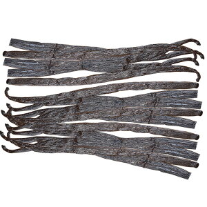 ojr[Y z[ Ɩp25{ AO[hi }_KXJYi16-20cm d1{4gjٗp ٍޗ  P[Lޗ XC[cޗ 肨َq̌ޗ vޗ vޗ 