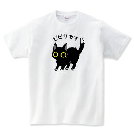 ビビる 猫tシャツ 猫 Tシャツ 長袖 ロンT ねこTシャツ かわいい tシャツ 猫 グッズ 雑貨 ネコ柄 猫柄 服 ねこ柄 シャツ 誕生日 プレゼント 彼女 猫好き かわいい おもしろ 可愛い ねこ 猫 メンズ レディース キッズ 子供服 ペアルック 猫柄 shortplate / ショートプレート