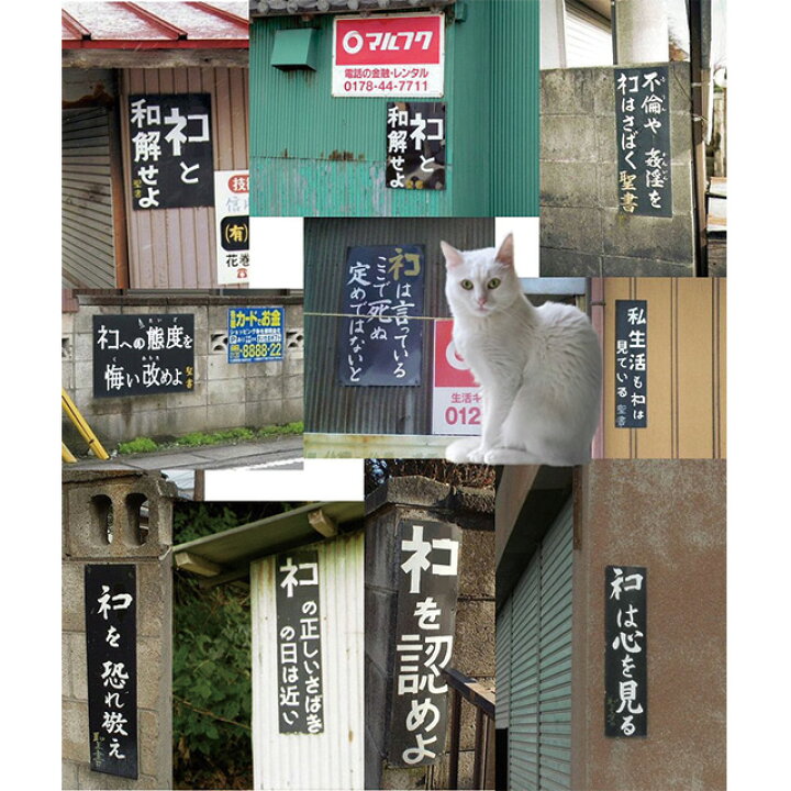 楽天市場 ネコと和解せよ 猫 ねこ おもしろ かわいい Tシャツ ネコ 猫柄 猫雑貨 メンズ レディース キッズ 子供服 半袖 おしゃれ 親子 ペアルック プレゼント ギフト 大きいサイズ Tシャツ通販サイト Shortplate 楽天市場 ネコと和解せよ 猫 ねこ おもしろ かわいい Tシャツ ネコ 猫柄 猫雑貨 メンズ レディース キッズ 子供服 半袖 おしゃれ 親子 ペアルック プレゼント ギフト 大きいサイズ Tシャツ通販サイト Shortplate