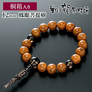 uXbg [t r֔O P 12mm d a19cm 傫ȃTCY R[4{g 񐔎 ˔