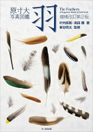 原寸大写真図鑑　羽　増補改訂第2版