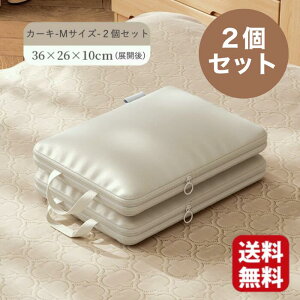 gx|[` k ߗރP[X ֗ o Ǌ| s [͔Q |[` Еt  m ւ AW h[ σobO X[cP[Xpi ObY K{i  ze