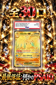 全30口　何かのPSA10確定　【当たりは　メガカイリューex　MUR　PSA10】 オリパ