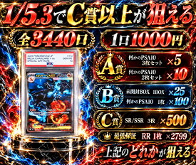 全3440口　1/5.3でC賞以上が狙える　保証はRR1枚確定　【当たりは　メガリザードンXex　SAR　110/080　PSA10】 オリパ
