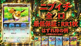 ニブイチ　全2口　保証はRR1枚確定　【当たりは　イーブイ　マスターボール】 オリパ　ポケモンカード　ポケカ