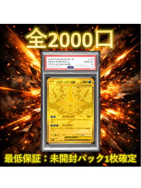【未開封パック1枚確定】【S賞：メガダークライex　MUR　118/081　PSA10】　全2000口　高還元 ポケカ　福袋 オリパ オリジナルパック