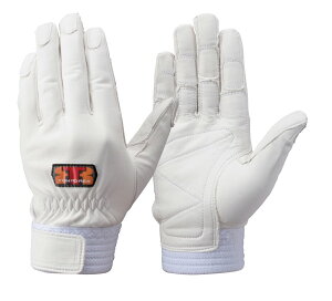 y[OKi4_܂Łjzg{bNX CS-701W v