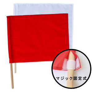 g@_t@@30×40cm@hc x H ԗU ʐ K[h}  R ^