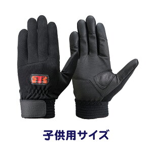 y[OKi4_܂Łjzg{bNX E-856BK qpTCY