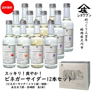 䒆 |  rlK[TC_[ 12{Zbg v[g Mtg | MtgZbg Mtg E av[g j oYj NMtg av[