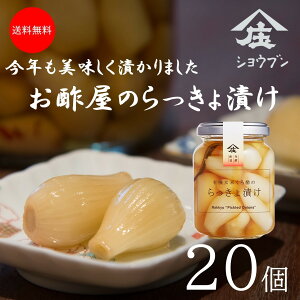 傤 20 Y ۑsgp 傤Ð|Ђ JJ傤Ђ   Ђ@җ O Mtg v`Mtg 蕨