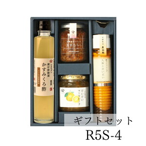  R5S-4 v[g Mtg N hbVO | av[g@E MtgZbg 炵̑f ݂| lQƂhbVO }[}