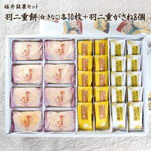 `كZbg Hd8+Hd ()10+ (Ȃ)10 y䌧YāE܂gpz [ aَq    Q P[L 炩 XC[c َq Mtg v[g 