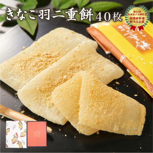  Hd Ȃ (40) y䌧YĎgpz [ aَq   炩 XC[c َq Mtg v[g 蕨  yY yY   yY ]