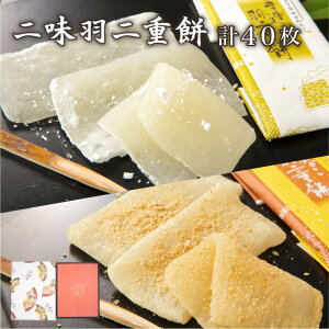  Hd  40 (+Ȃe20) y䌧YĎgpz [ aَq   炩 XC[c َq Mtg v[g 蕨  yY yY   