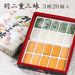  HdO 20 (5+5+Ȃ10) y䌧YĎgpz [ aَq   炩 XC[c َq Mtg v[g 蕨  yY yY  