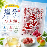 千年屋 味楽乃里 うめ玉 紀州梅菓子 梅加工菓子 個包装 種なし 梅おやつ 和歌山県産梅 2袋セット 6袋セッ…