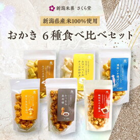 さくら堂 新潟県産米おかき 6種食べ比べセット カマンベール カレー 黒胡椒 旨あま醤油 いか揚げ はちみつ 無添加 新潟米菓 あられ おせんべい ギフト 贈答用 おつまみ