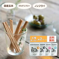おとなの玄米ポリッポリ 4袋セット 国産玄米 禾 nogi グルテンフリー ビーガン 卵不使用 乳製品不使用 小…