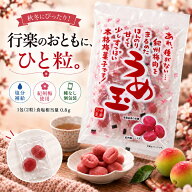 ≪ポイント5倍＆10%OFFクーポン 9/19 20:00〜9/24 1:59≫千年屋 味楽乃里 うめ玉 紀州梅菓子 個包装 2袋…